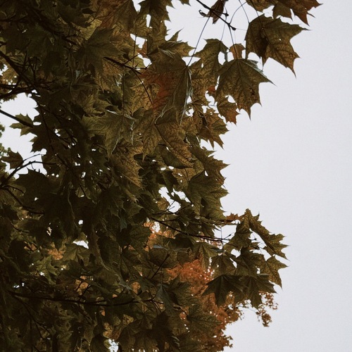 Photo #14141694