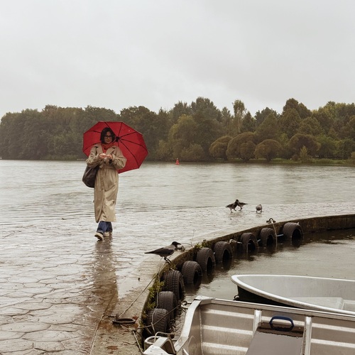 Photo #14141761