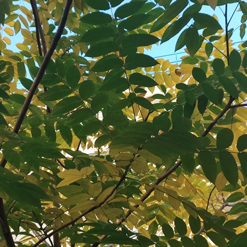 Photo #14141773