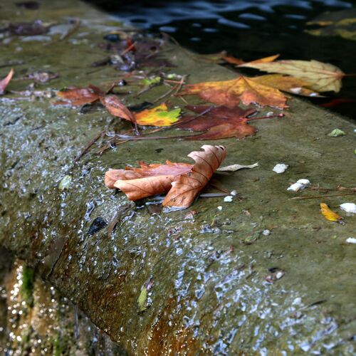 Photo #14141787