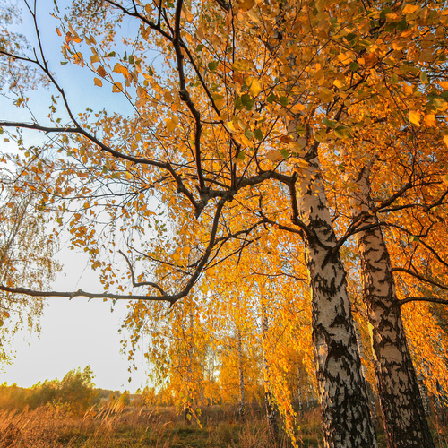 Photo #14141935