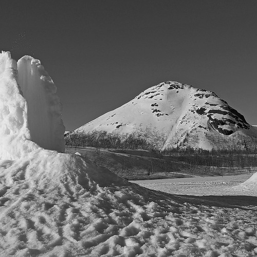 Photo #14142095