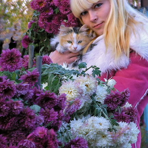 Photo #14142250