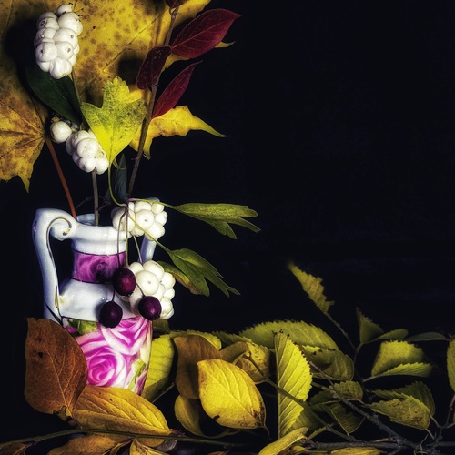 Photo #14142380