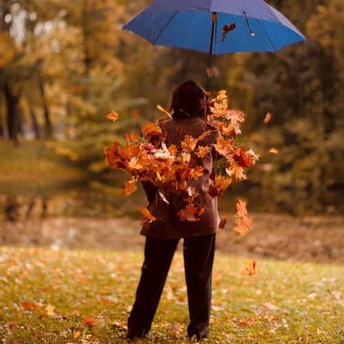 Photo #14142392
