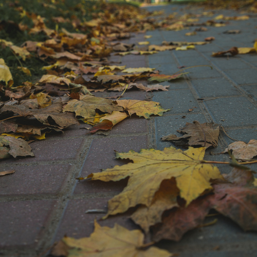 Photo #14142404