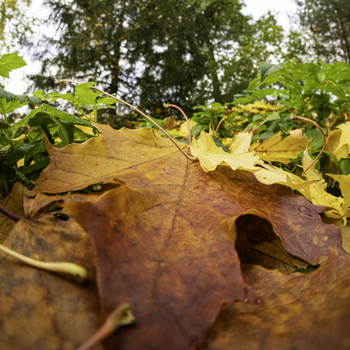 Photo #14142471