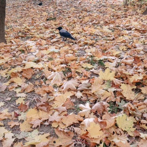Photo #14142530