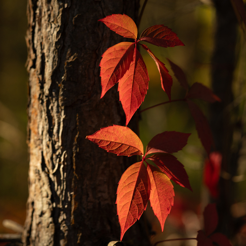 Photo #14142564