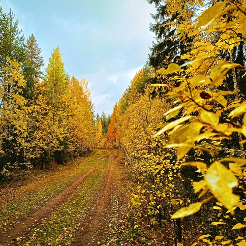 Photo #14142571