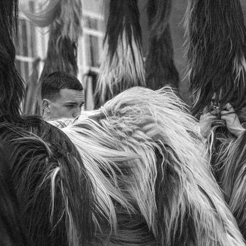 Photo #14142668