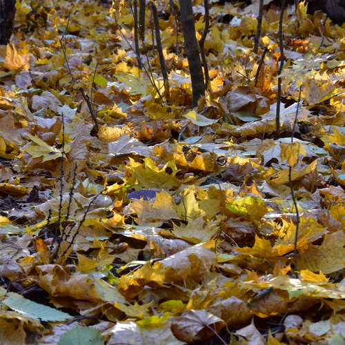 Photo #14142769