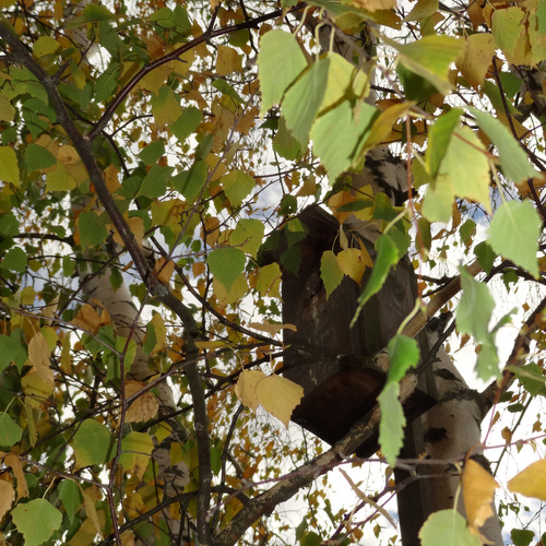 Photo #14142845