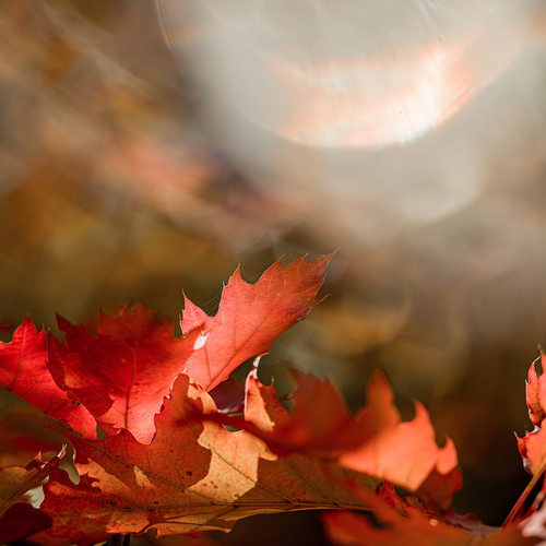 Photo #14142926
