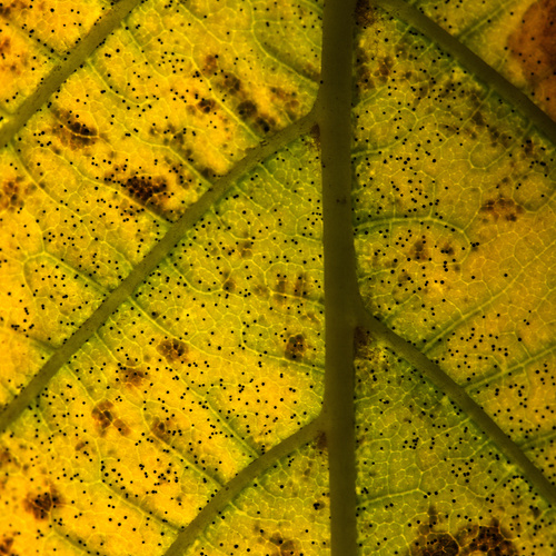 Photo #14142939