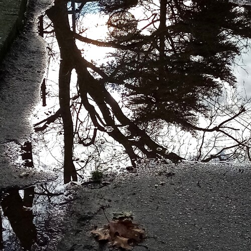 Photo #14143036