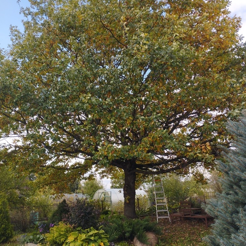 Photo #14143175