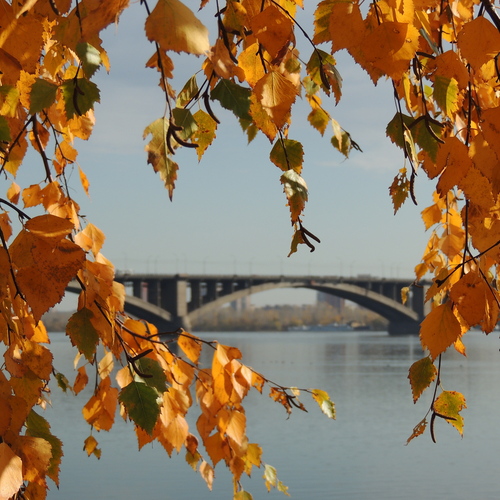 Photo #14143271