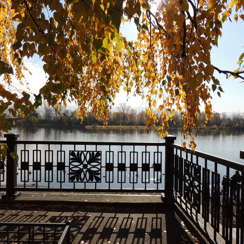 Photo #14143275