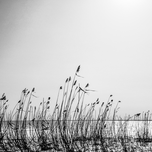 Photo #14143276