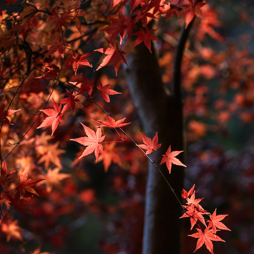 Photo #14143287