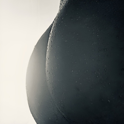 Photo #14143306