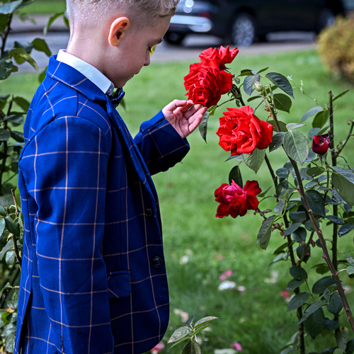 Photo #14143704