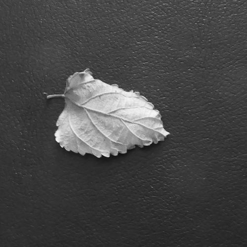 Simple one.