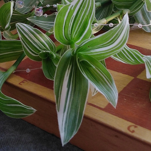 Photo #14143774