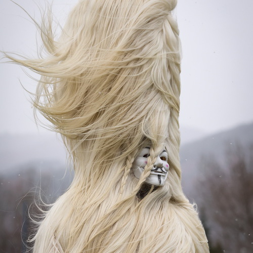 Photo #14143855