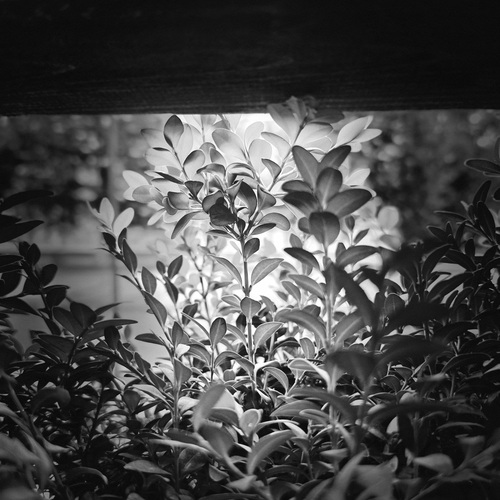 Photo #14143907