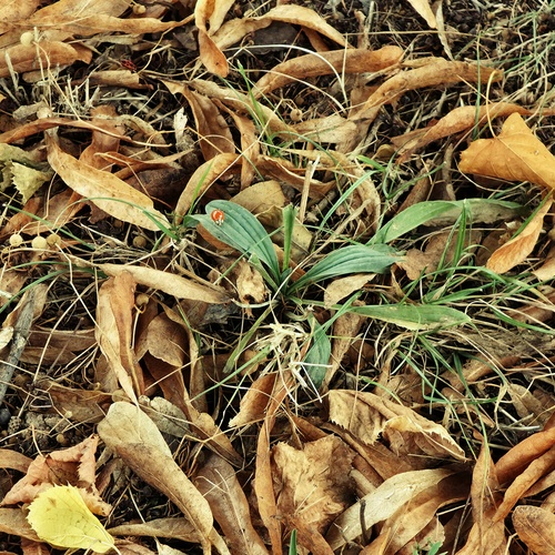 Photo #14143962