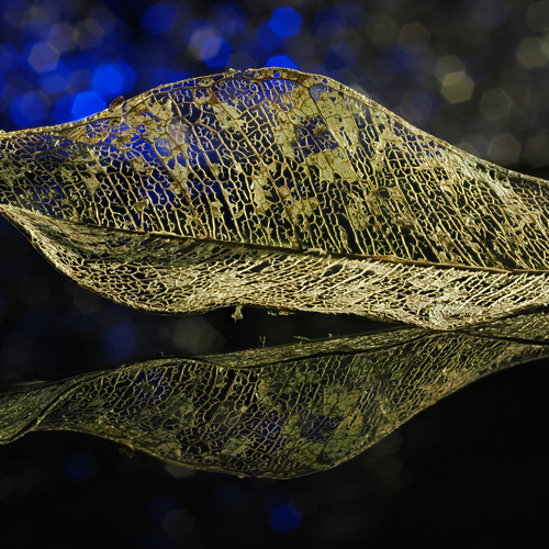 Photo #14143964