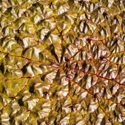 Photo #14143980