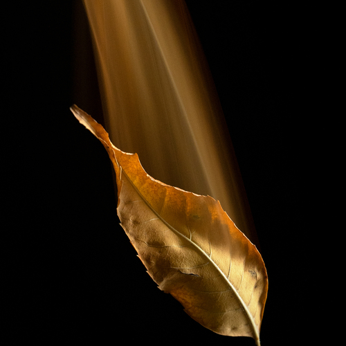 Photo #14144003
