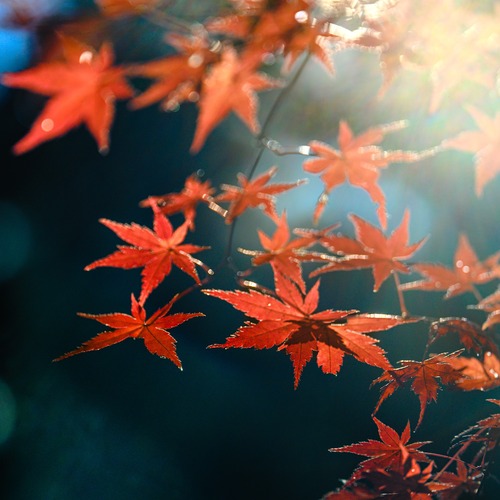 Photo #14144023