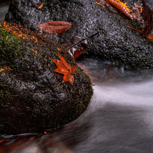 Photo #14144024