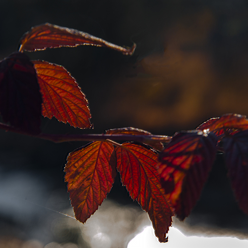 Photo #14144033