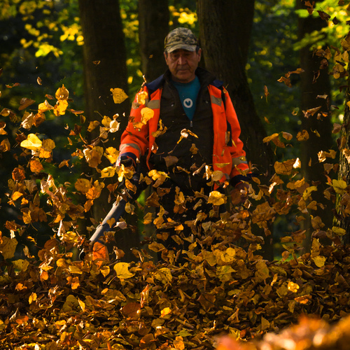 Photo #14144103