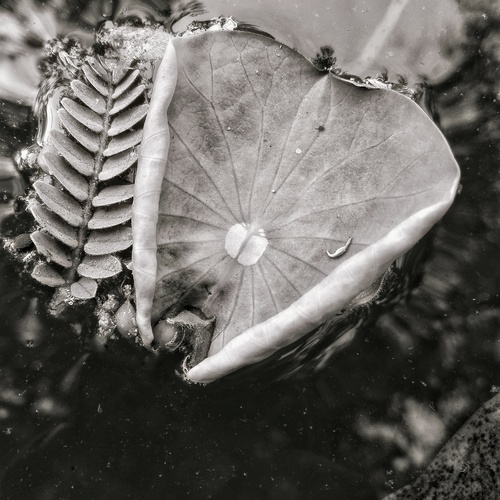 Photo #14144345