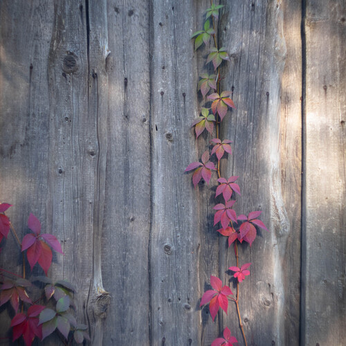 Photo #14144373