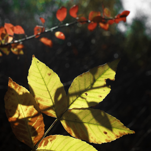 Photo #14144518