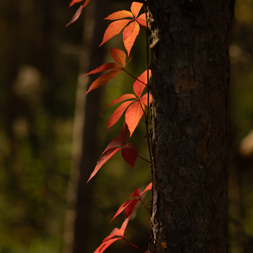 Photo #14144527