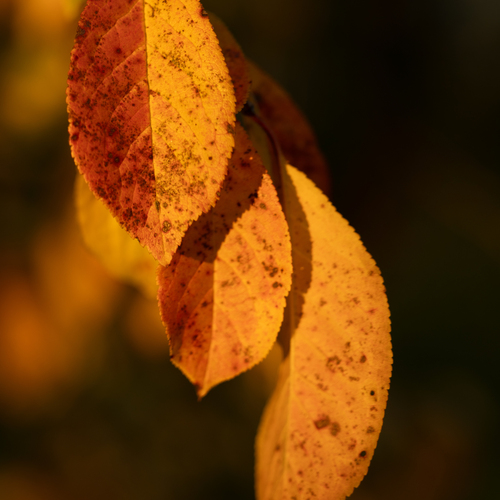 Photo #14144538