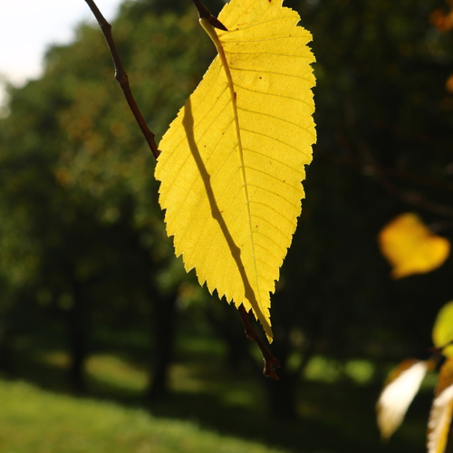 Photo #14144554
