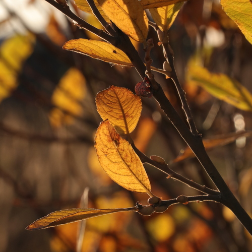 Photo #14144583