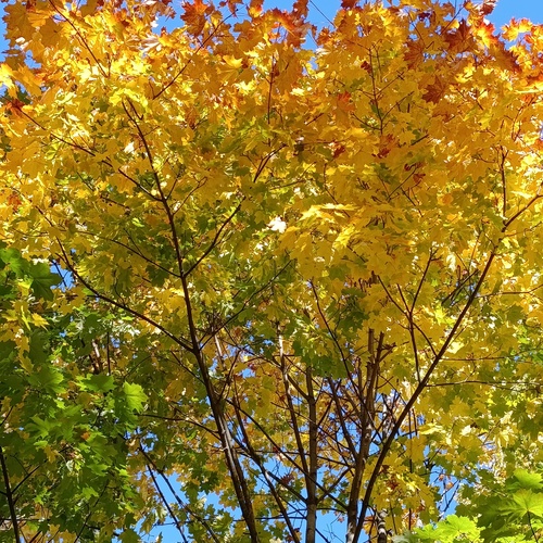 Photo #14144604