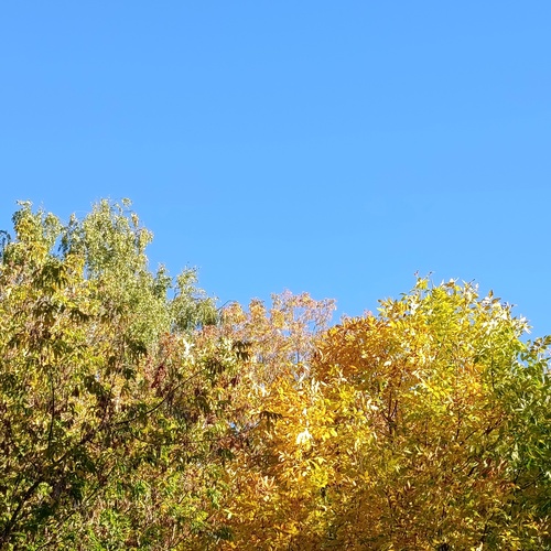 Photo #14144615
