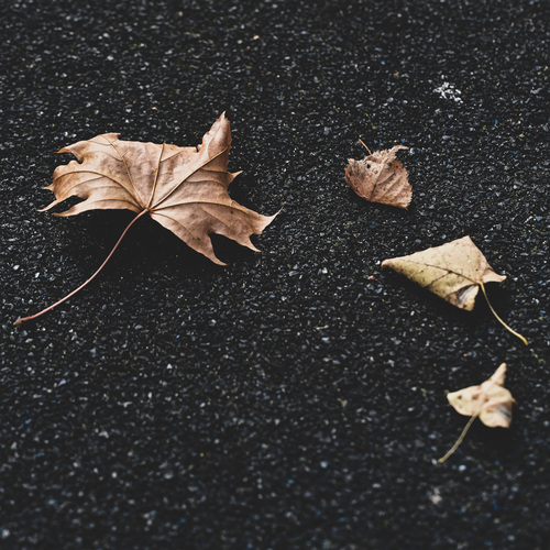 Photo #14144642