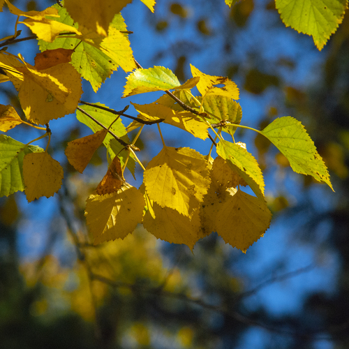Photo #14144852